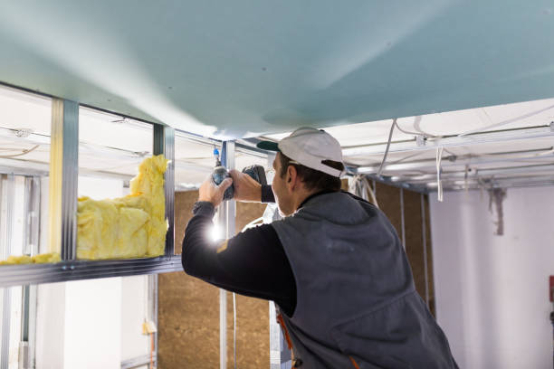 Best Insulation Installation Services in Franklin, NH